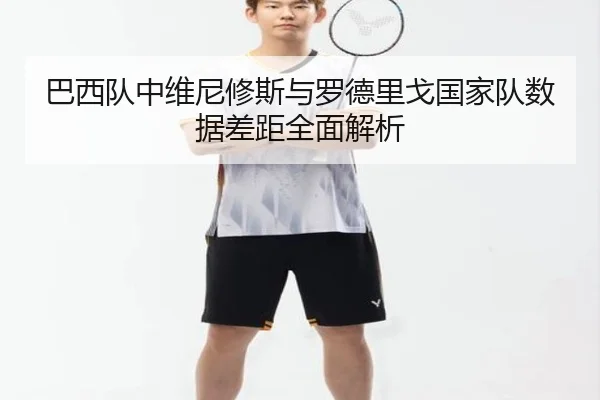 巴西队中维尼修斯与罗德里戈国家队数据差距全面解析