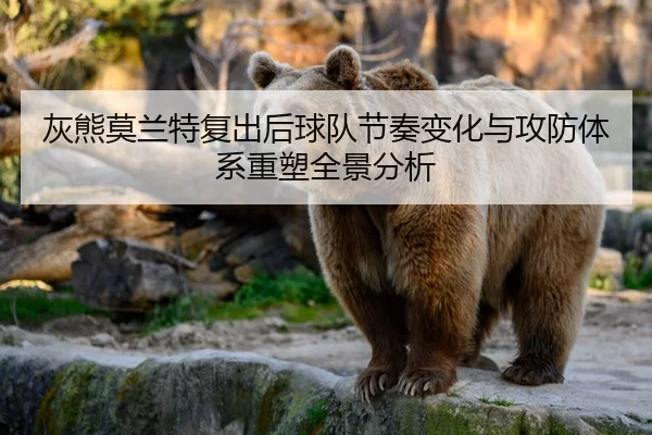 灰熊莫兰特复出后球队节奏变化与攻防体系重塑全景分析