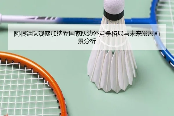 阿根廷队观察加纳乔国家队边锋竞争格局与未来发展前景分析