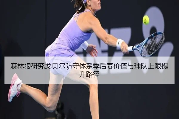 森林狼研究戈贝尔防守体系季后赛价值与球队上限提升路径